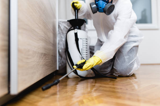 Best Pest Control Near Me  in Tangerine, FL