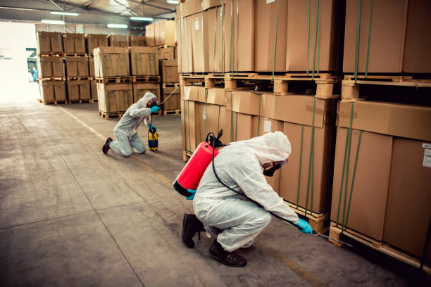 Best Best Pest Control Companies  in Tangerine, FL