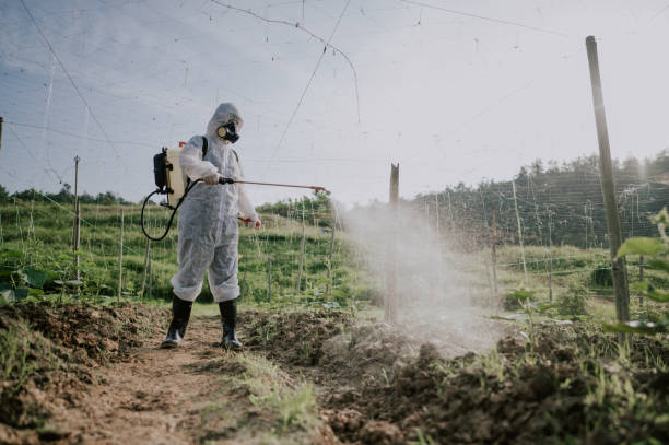 Best Mosquito Control Services  in Tangerine, FL