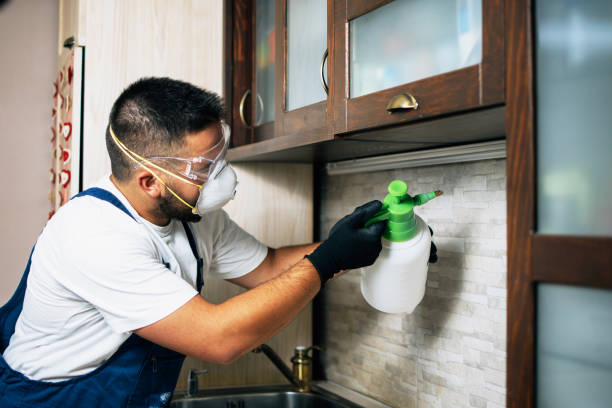 Best Pest Removal Services  in Tangerine, FL