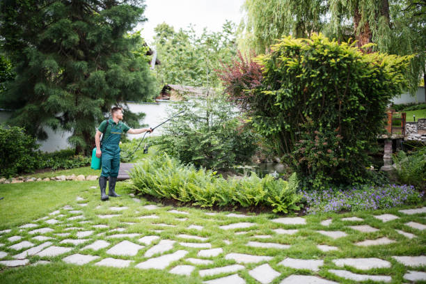 Best Best Pest Control Companies  in Tangerine, FL