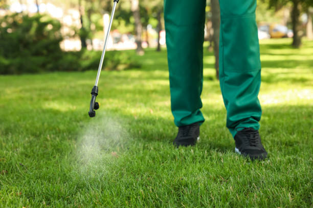 Best Pest Inspection Near Me  in Tangerine, FL