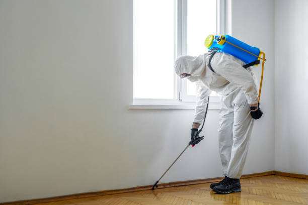 Best Affordable Pest Control Services  in Tangerine, FL