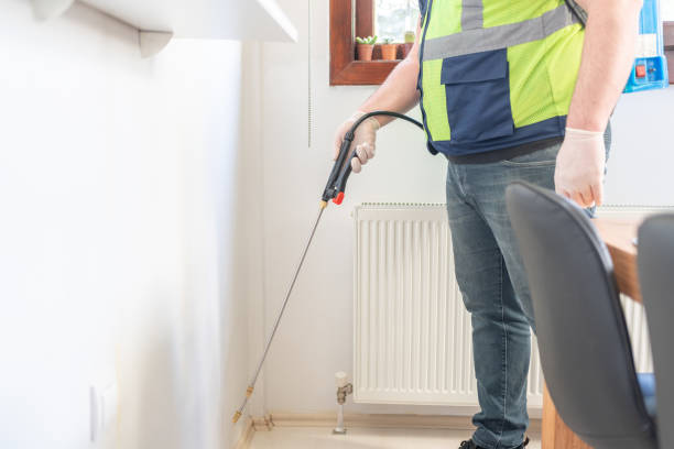 Best Wasp Removal Services  in Tangerine, FL