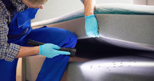 Professional Pest Control in Tangerine, FL