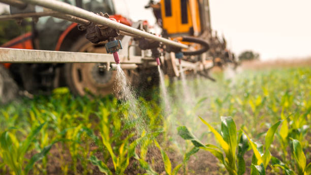Best Wildlife Control Services  in Tangerine, FL